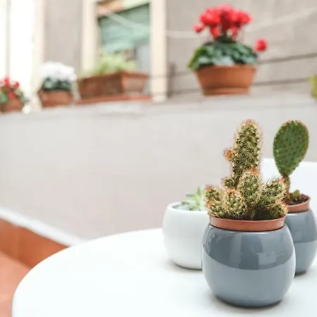 Guest house Etna & Rooftop Terrace *
