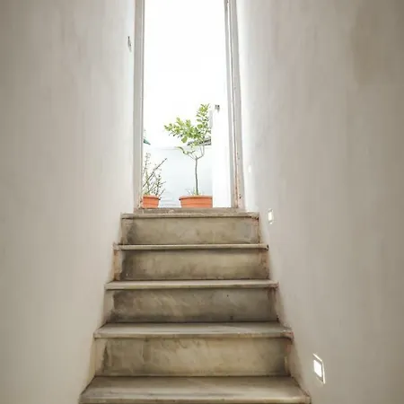Guest house Etna & Rooftop Terrace Catania